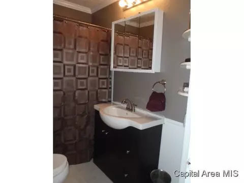 7 Harriet Ln, Springfield, IL 62702 photo 10