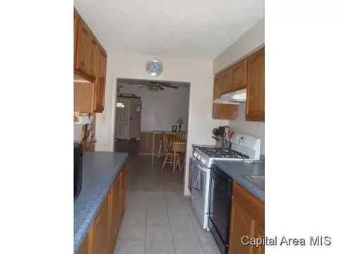 7 Harriet Ln, Springfield, IL 62702 photo 6