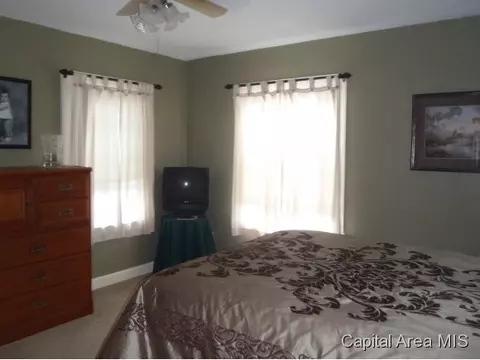 7 Harriet Ln, Springfield, IL 62702 photo 13