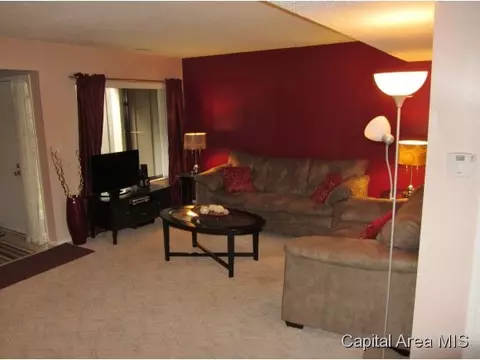 14 Juniper, Springfield, IL 62704 photo 4