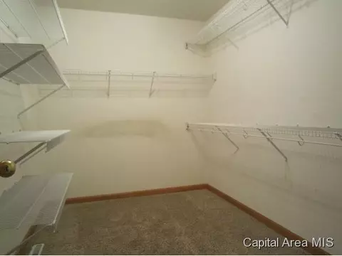 3 Brook Ln, Riverton, IL 62561 photo 15