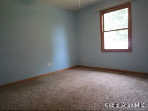3 Brook Ln, Riverton, IL 62561 photo 10