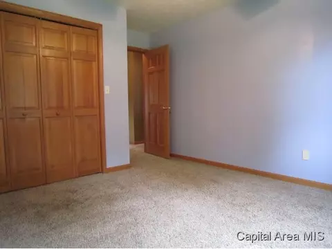 3 Brook Ln, Riverton, IL 62561 photo 11