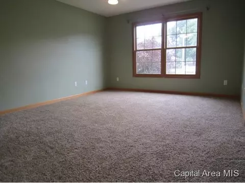 3 Brook Ln, Riverton, IL 62561 photo 16