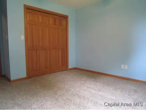 3 Brook Ln, Riverton, IL 62561 photo 9