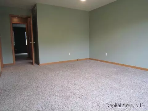 3 Brook Ln, Riverton, IL 62561 photo 17