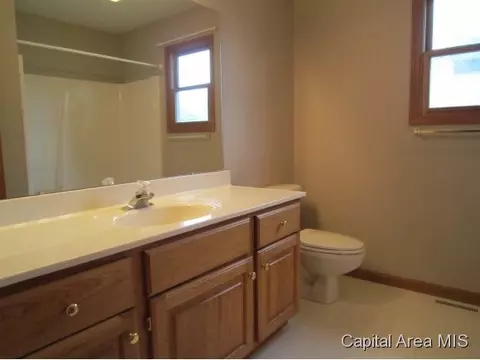 3 Brook Ln, Riverton, IL 62561 photo 12