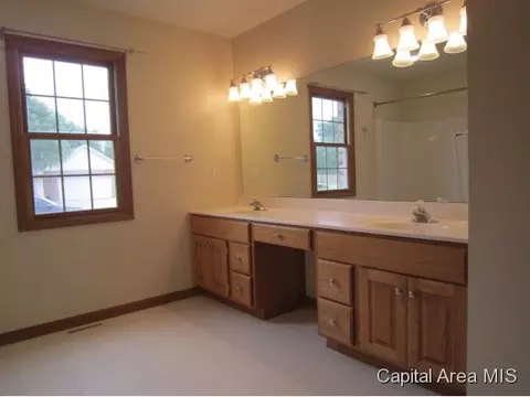 3 Brook Ln, Riverton, IL 62561 photo 13