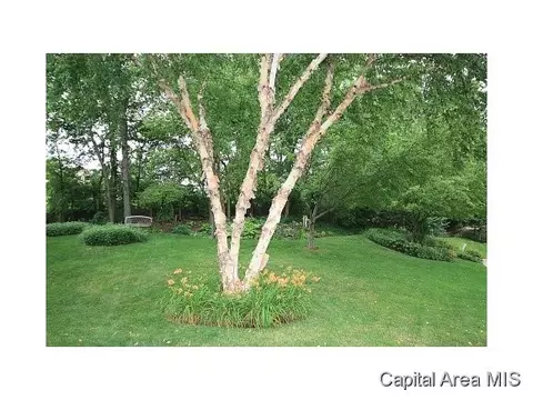 2554 Chapel Hl, Springfield, IL 62702 photo 21