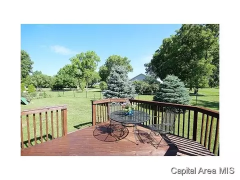 263 White, Glenarm, IL 62536 photo 18