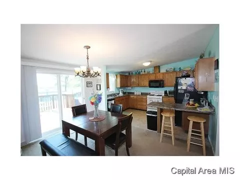 263 White, Glenarm, IL 62536 photo 6
