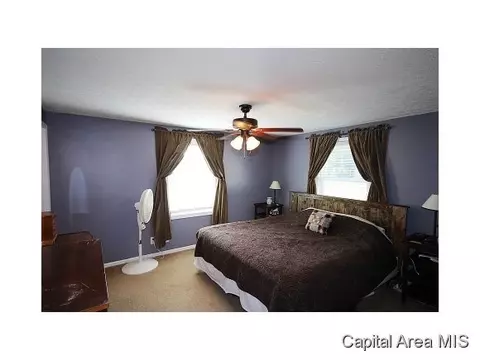 263 White, Glenarm, IL 62536 photo 9