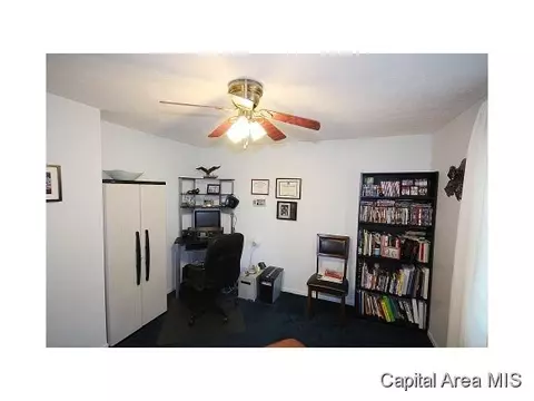 263 White, Glenarm, IL 62536 photo 11