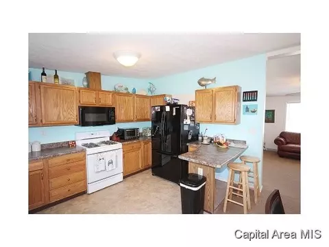 263 White, Glenarm, IL 62536 photo 5