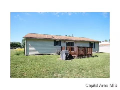 263 White, Glenarm, IL 62536 photo 20