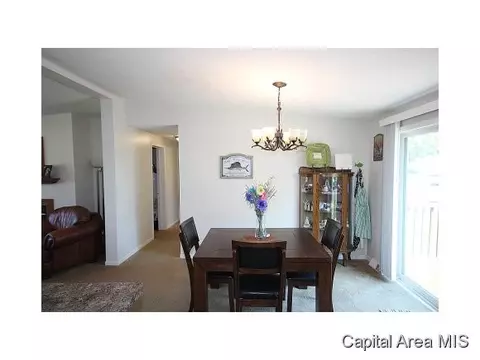 263 White, Glenarm, IL 62536 photo 8