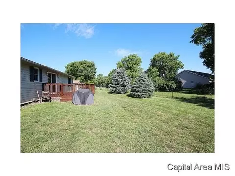 263 White, Glenarm, IL 62536 photo 21