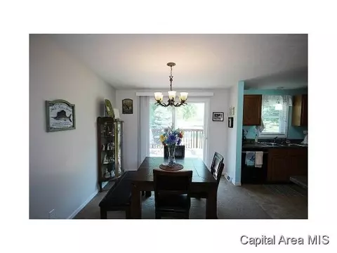 263 White, Glenarm, IL 62536 photo 7