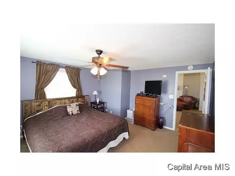 263 White, Glenarm, IL 62536 photo 10