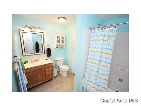 263 White, Glenarm, IL 62536 photo 16