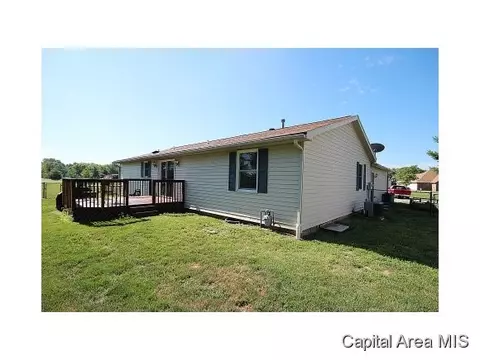 263 White, Glenarm, IL 62536 photo 19