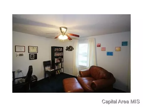 263 White, Glenarm, IL 62536 photo 13