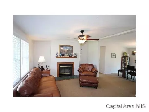 263 White, Glenarm, IL 62536 photo 4