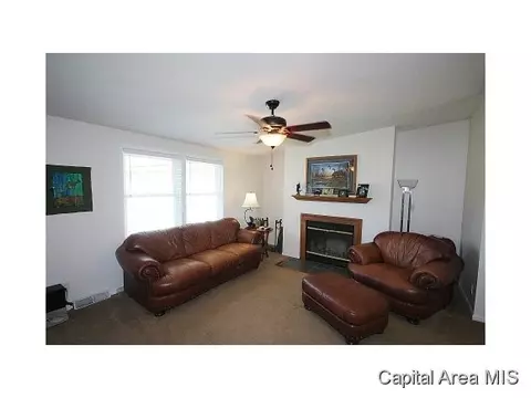 263 White, Glenarm, IL 62536 photo 3