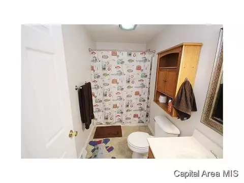 263 White, Glenarm, IL 62536 photo 15