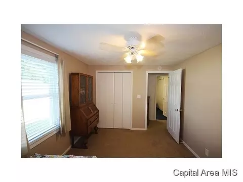 263 White, Glenarm, IL 62536 photo 14