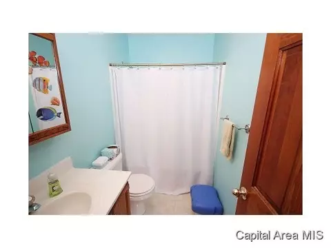 1804 Strawberry Ln, Springfield, IL 62711 photo 16