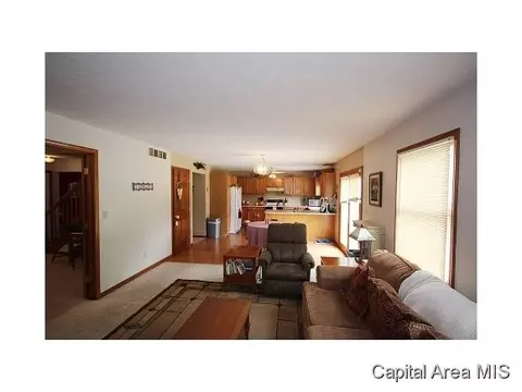1804 Strawberry Ln, Springfield, IL 62711 photo 4