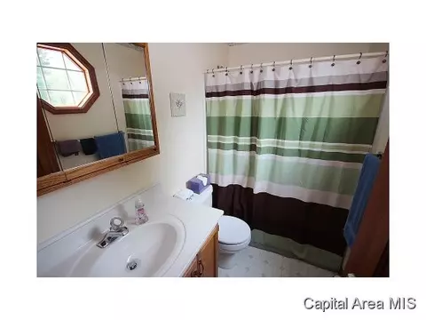 1804 Strawberry Ln, Springfield, IL 62711 photo 18
