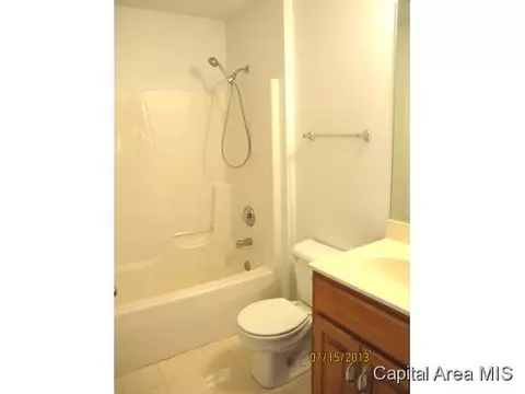 6174 Workman Rd, New Berlin, IL 62670 photo 19