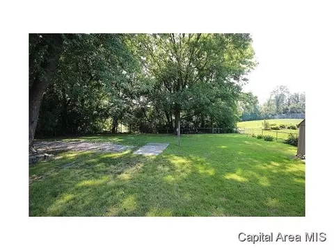 38 Babiak Ln, Springfield, IL 62702 photo 21