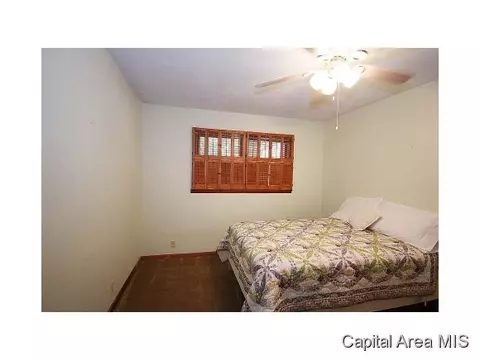 38 Babiak Ln, Springfield, IL 62702 photo 12