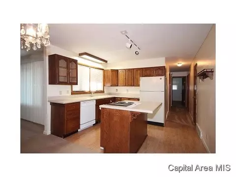 38 Babiak Ln, Springfield, IL 62702 photo 5