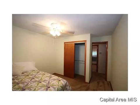 38 Babiak Ln, Springfield, IL 62702 photo 11