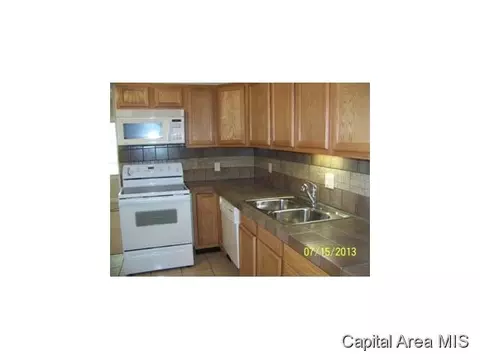 49 Lilac Ln, Springfield, IL 62702 photo 11