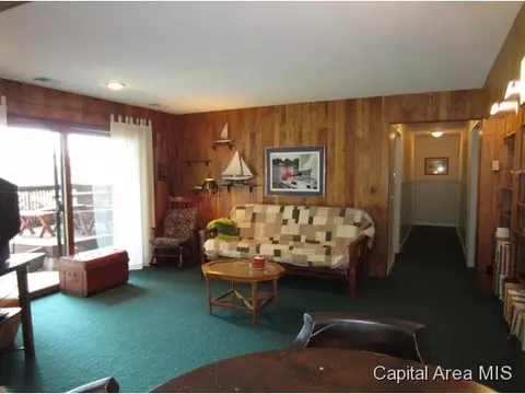 168 Maple Grv, Springfield, IL 62712 photo 17