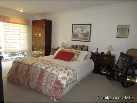 168 Maple Grv, Springfield, IL 62712 photo 14