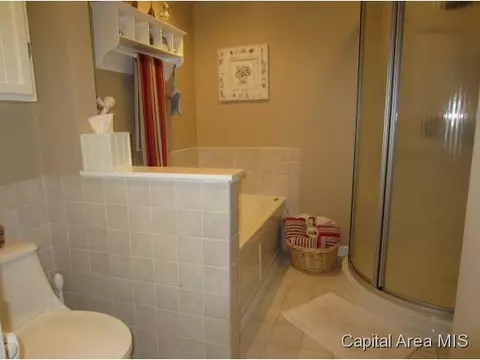 168 Maple Grv, Springfield, IL 62712 photo 15