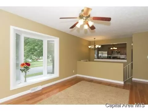 1915 N Albany, Springfield, IL 62702 photo 4