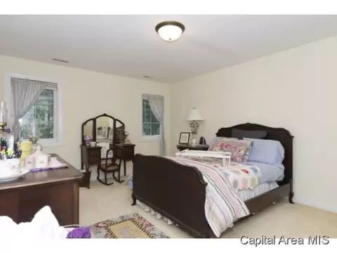 2320 Mariners Point Ln, Springfield, IL 62712 photo 13