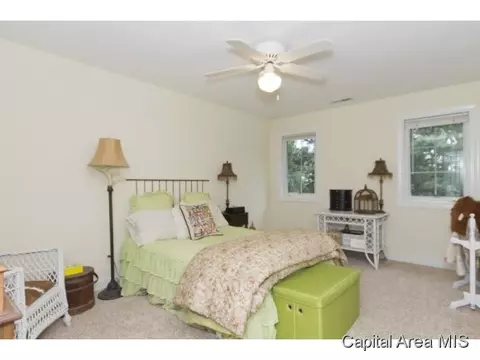 2320 Mariners Point Ln, Springfield, IL 62712 photo 14