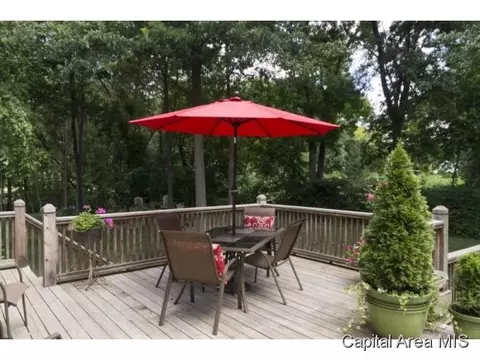 2320 Mariners Point Ln, Springfield, IL 62712 photo 20