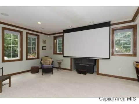 2320 Mariners Point Ln, Springfield, IL 62712 photo 18