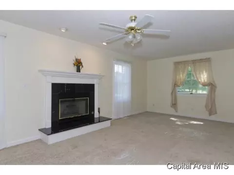 2100 Checkerberry Ln, Springfield, IL 62711 photo 17