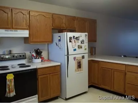 155 Genoa, Springfield, IL 62703 photo 5
