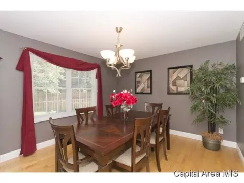 3529 Tamarak, Springfield, IL 62712 photo 10